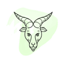 Capricorn