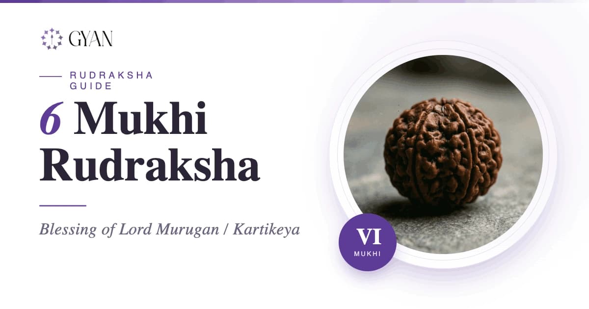 6 Mukhi Rudraksha (Aarumugh) facts, Benefits, Meaning, Mantra, and How to Wear