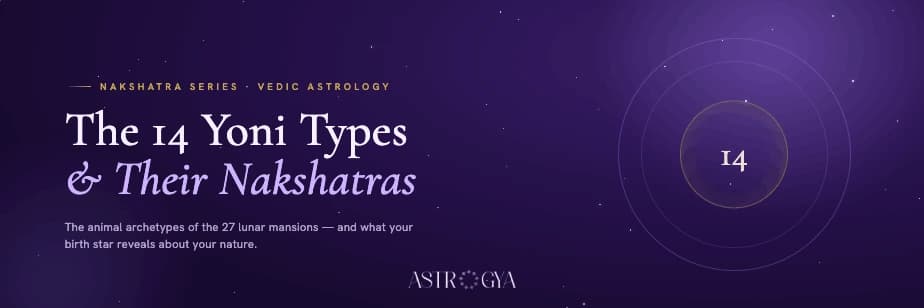Yoni Astrology, 14 Types, Nakshatra Chart and Yoni Kuta Matching